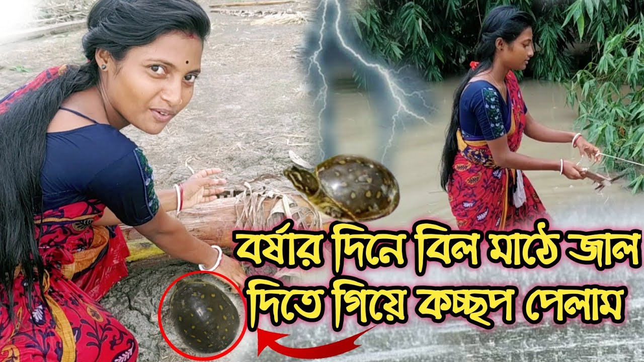 বর্ষার দিনে মাঠে জাল দিতে গিয়ে কচ্ছপ পেলাম !! Amazing Tortoise Catching On A Rainy Day