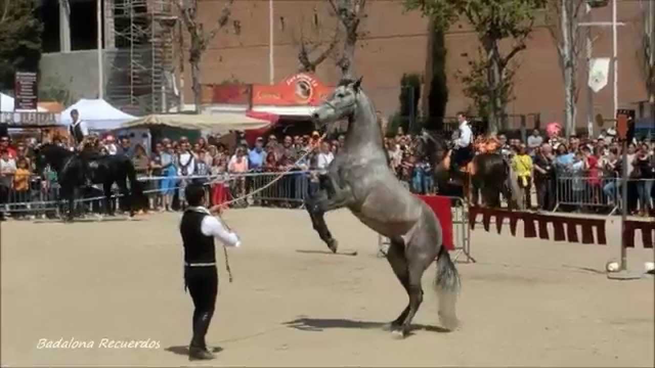 Festa Medieval en Canyadó -Badalona-