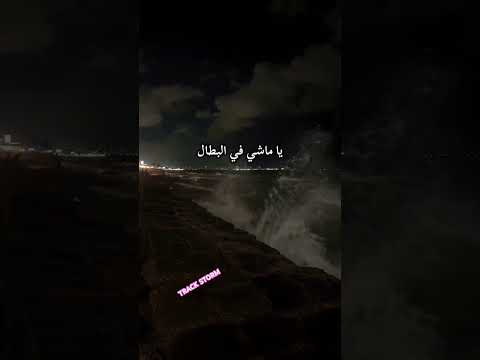 كلام فرسان ويجز محمدمنير الناس تاهو بقى في منظره