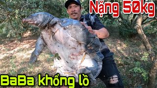 Kỷ lục Con Ba Ba Nặng Nhất Việt Nam | Khôi TV