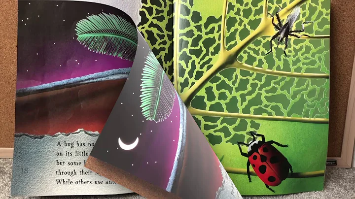 Have You Seen Bugs? By Joanne Opoenheim - DayDayNews