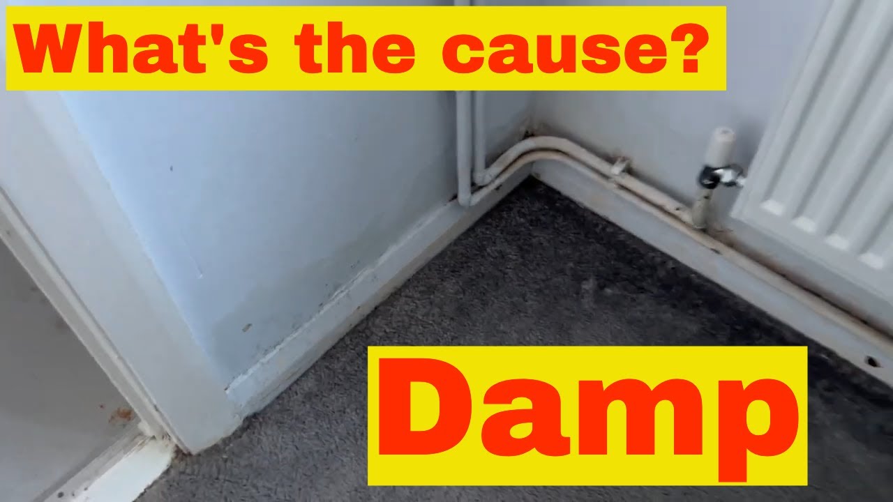 Damp surveying - Thinking outside the box