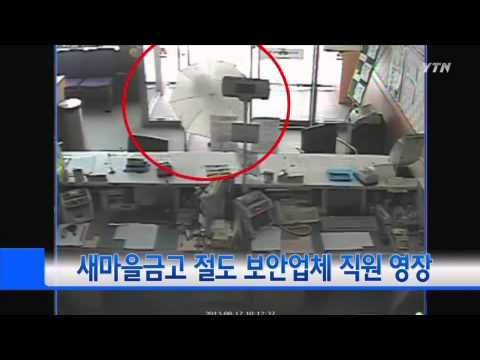 새마을금고 절도 보안업체 직원 영장 / YTN
