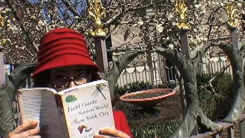 Ask Umbra Video Debut