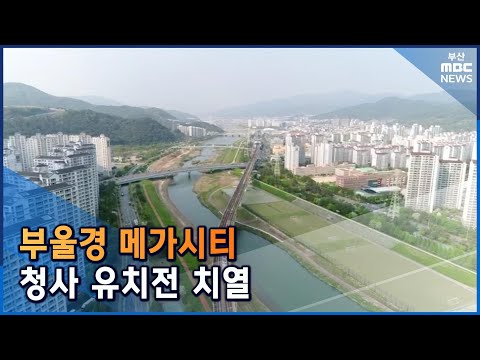 부울경 메가시티 새 청사는 어디에! (2022-02-08,화/뉴스데스크/부산MBC)