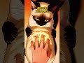 【感涙】愛猫が教えてくれた「一人じゃない」本当の理由 #猫のいる暮らし