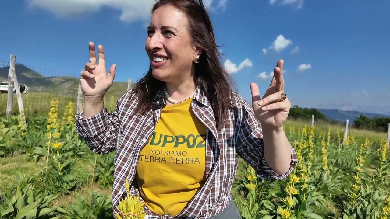 ECCO  IL MAGICO LUOGO DOVE, A 2MILA METRI, NASCE LA GENZIANA DI SCUPPOZ