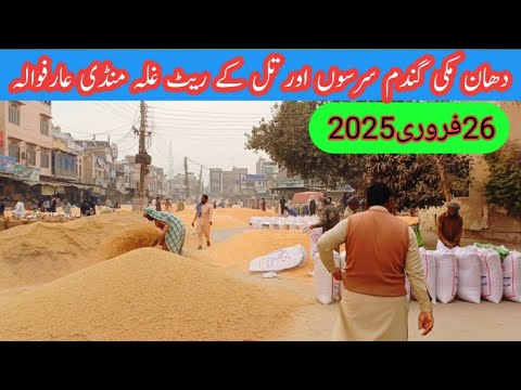 آج کے تازہ ترین ریٹ غلہ منڈی عارفوالہ 03058847004 آج کے تازہ ترین ریٹ غلہ منڈی عارفوالہ 03058847004