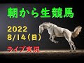 【中央競馬】関屋記念　小倉記念　朝から生競馬　ライブ配信（札幌→小倉→新潟）Horse Racing Commentary