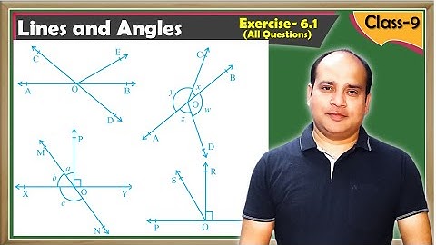 Lines and Angles - Exercise 6.1 (Q1 - Q6) Solutions | Class 9 Maths Chapter 6