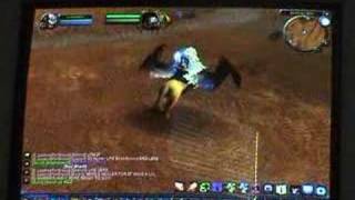 World Of Warcraft Gryphon Glitch