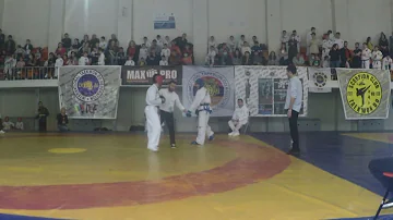 Armenian National Teakwon-Do Association Championship - Norik Sargsyan