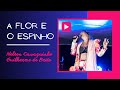 A Flor e O Espinho - Bruna Volpi e Rildo Hora