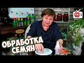 Как увеличить всхожесть семян? 🌟 Обработка семян перекисью водорода и обеззараживание почвы