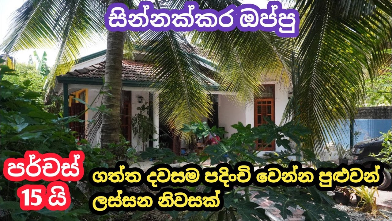 House and property (wennappuwa lunuvila) සියලුම වැඩ කටයුතු අවසන් කරපු නිවස#lassana#lanka