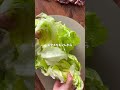 【農家のレシピ】レタス一玉ペロリ😋麻薬たまレタス✨