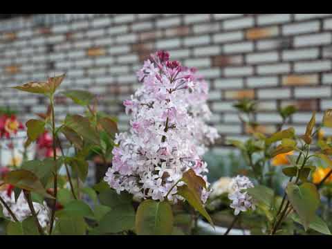 [TJ노래방라운지] 이별이래 - 유열
