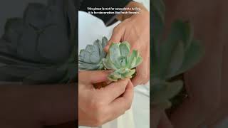 Making a Spring-Summer Seasonal Succulent bouquet #diysucculentplants
