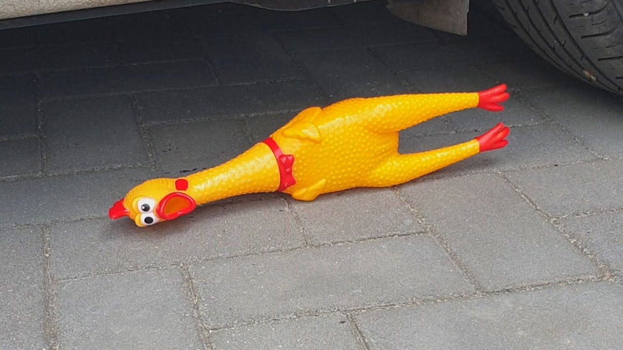 Crushing Crunchy & Soft Things by Car! EXPERIMENT CAR VS + The dog's reaction