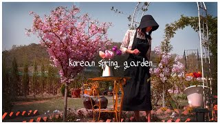 [A puppy with flowers]🐶🌹 Spring Garden in April ㅣHow to Manage Tulip Spheres for Next Year by 꽃을 든 강쥐 9,657 views 1 month ago 13 minutes, 38 seconds