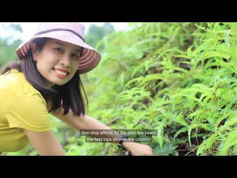 Video VINTECH FUND TOP 12 - DA Nghiên cứu chế tạo Than hoạt... - youtube