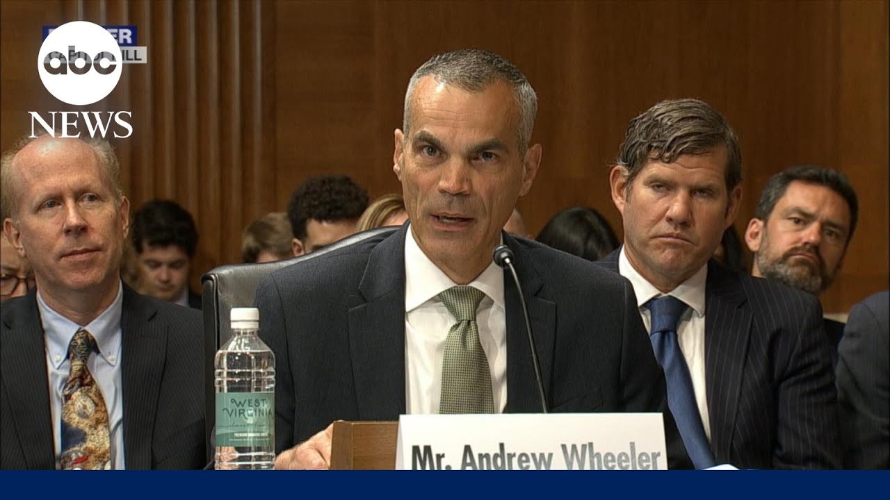 Senate holds hearing on artificial intelligence | ABCNL