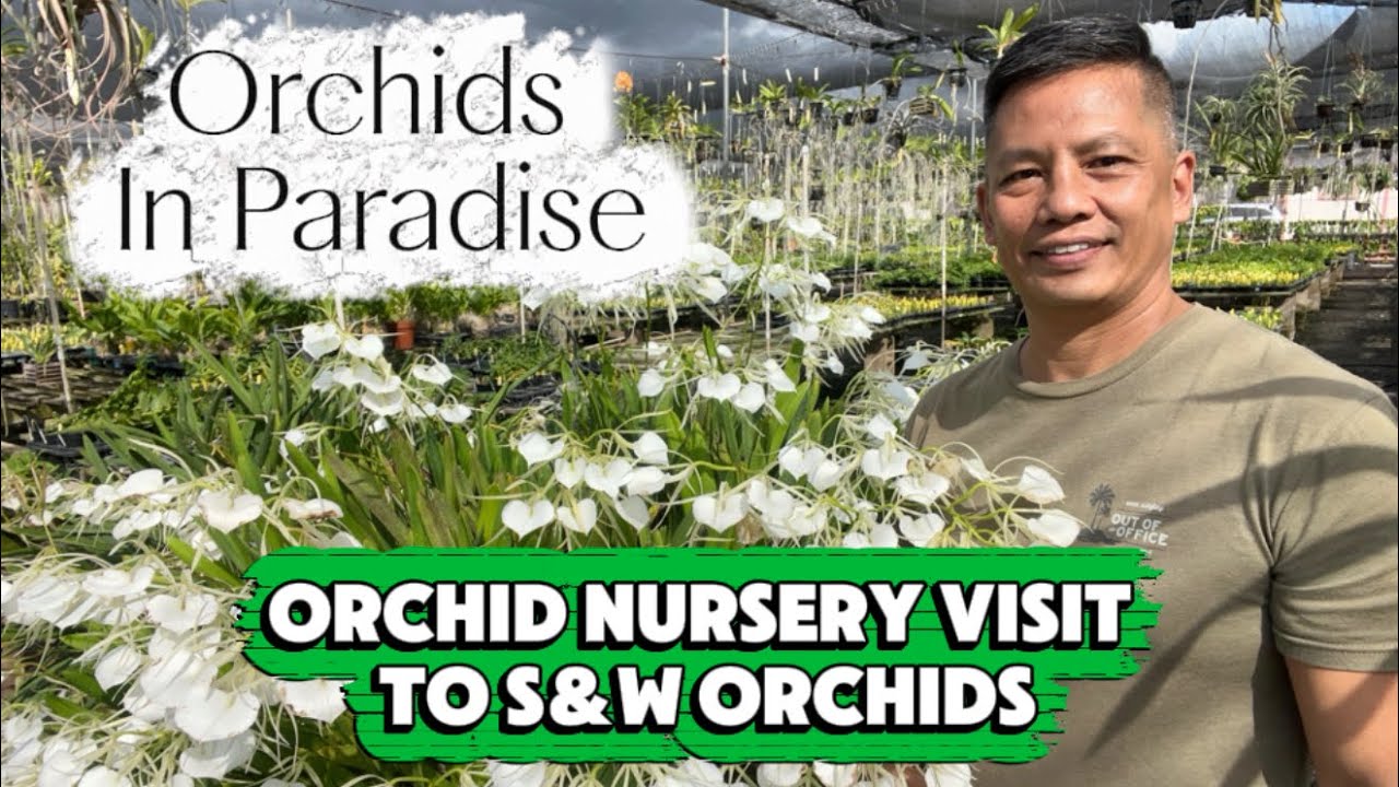 Today was my lucky day! Checkout my visit to S&W Orchids in Waianae, Hawaii 🌴