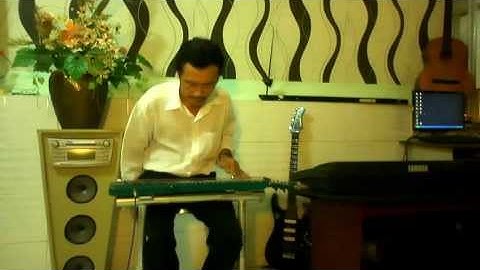 NS Ngô Thanh Hưng độc tấu hauydi Bài Phi vân điệp khúc vọng cổ 1-2