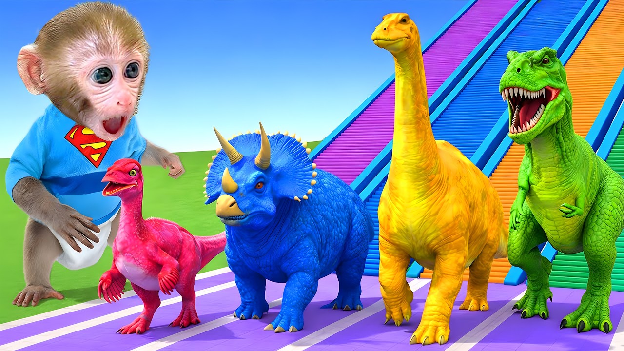 Singe Bon Bon dessine des portraits d'animaux et fait une découverte surprenante aprè