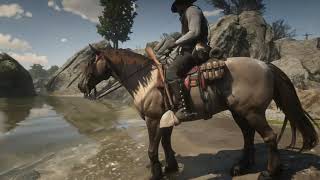RDR2-- Agent's Horse Coat Catalogue Showcase! RDR2-- Agent's Horse Coat Catalogue Showcase!