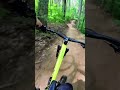 Playing on a fun easy flow trail mtb mountainbiking