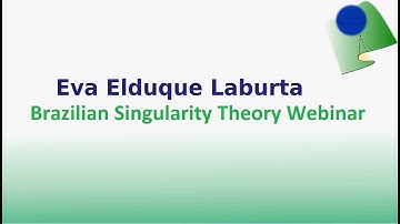 Eva Elduque Laburta: Quasi-projective varieties with orbifold fundamental groups