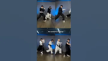 Stray Kids Ceremony Challenge Skz Straykids Ceremony Karma Fyp 