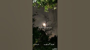 من سورة يونس القارئ محمود هارون