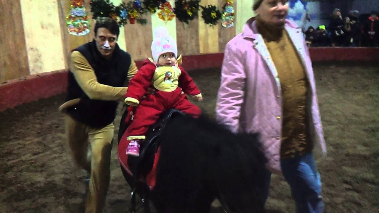 В машине наездница