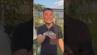 Boost Your Orchard: Disease-Free & Pest-Free with Our Pro Tips