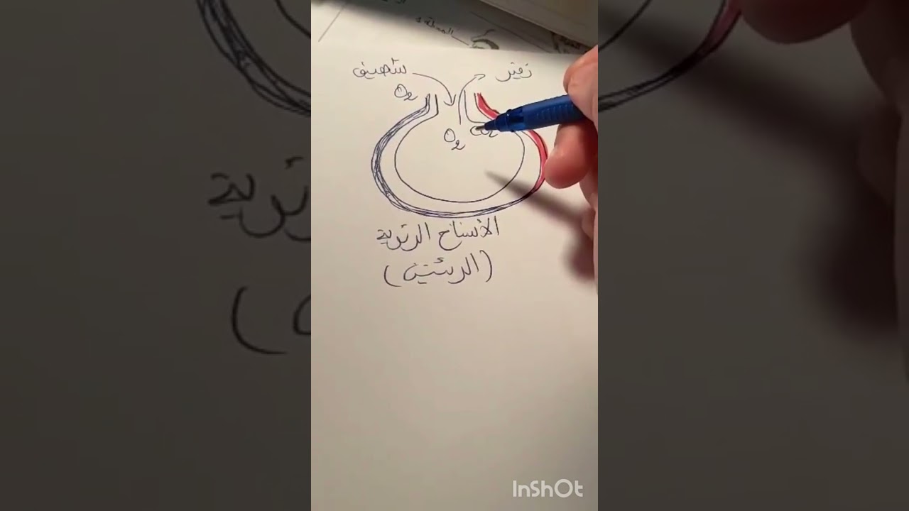سلسلة المراجعة الشاملة للتغذية عند الانسان الفيديو رقم 7