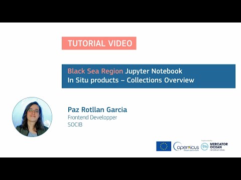 Jupyter Tutorial - Black Sea - Overview of the In Situ data collections