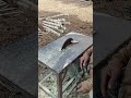 Cutting cassava stems