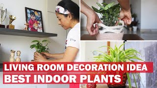 Living Room Decoration Hindi Decorating Home With Plants Best Indoor Plants For Decoration