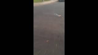 Mexico triangle (palomita) banger!!!