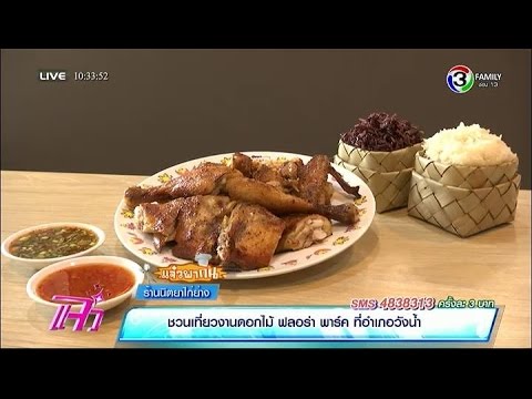 แจ๋วพากิน | ร้านนิตยาไก่ย่าง | 12-01-58