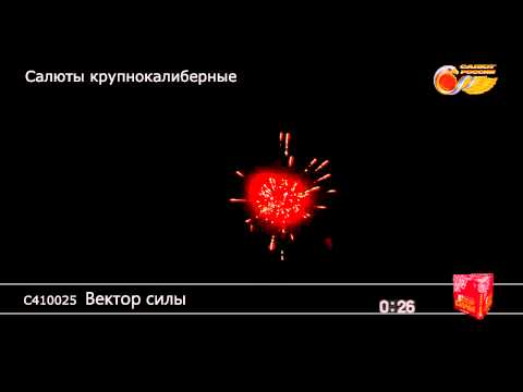 С410025 Вектор силы