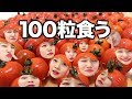 【大食い】トマト100粒チャレンジやって100企画の王になる！【100企画】