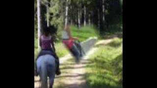 Reiten0001.Wmv
