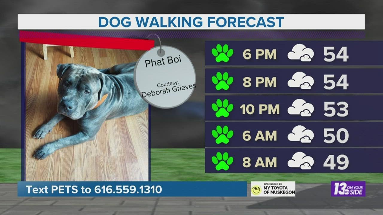 Dog Walking Forecast: October 29, 2022 | Phat Boi - YouTube