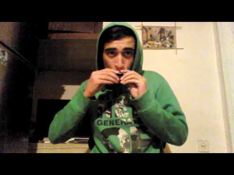 ჰარმონიკა (ჩემი პირველი მელოდია)