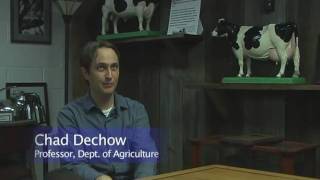 Dairy Cow Genetics