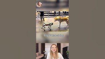 Funny Dog Videos 2025 | Dogs vs Robot Dogs | Funny Animal Videos
