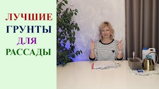 видео: ЛУЧШИЕ ГРУНТЫ ДЛЯ РАССАДЫ. КАК ВЫРАСТИТЬ ХОРОШУЮ РАССАДУ В ЛЮБОМ ГРУНТЕ. РАБОЧИЕ СОВЕТЫ. картинка: ЛУЧШИЕ ГРУНТЫ ДЛЯ РАССАДЫ. КАК ВЫРАСТИТЬ ХОРОШУЮ РАССАДУ В ЛЮБОМ ГРУНТЕ. РАБОЧИЕ СОВЕТЫ.